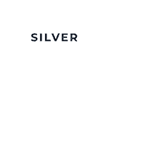 Silver-ecovadis-2022